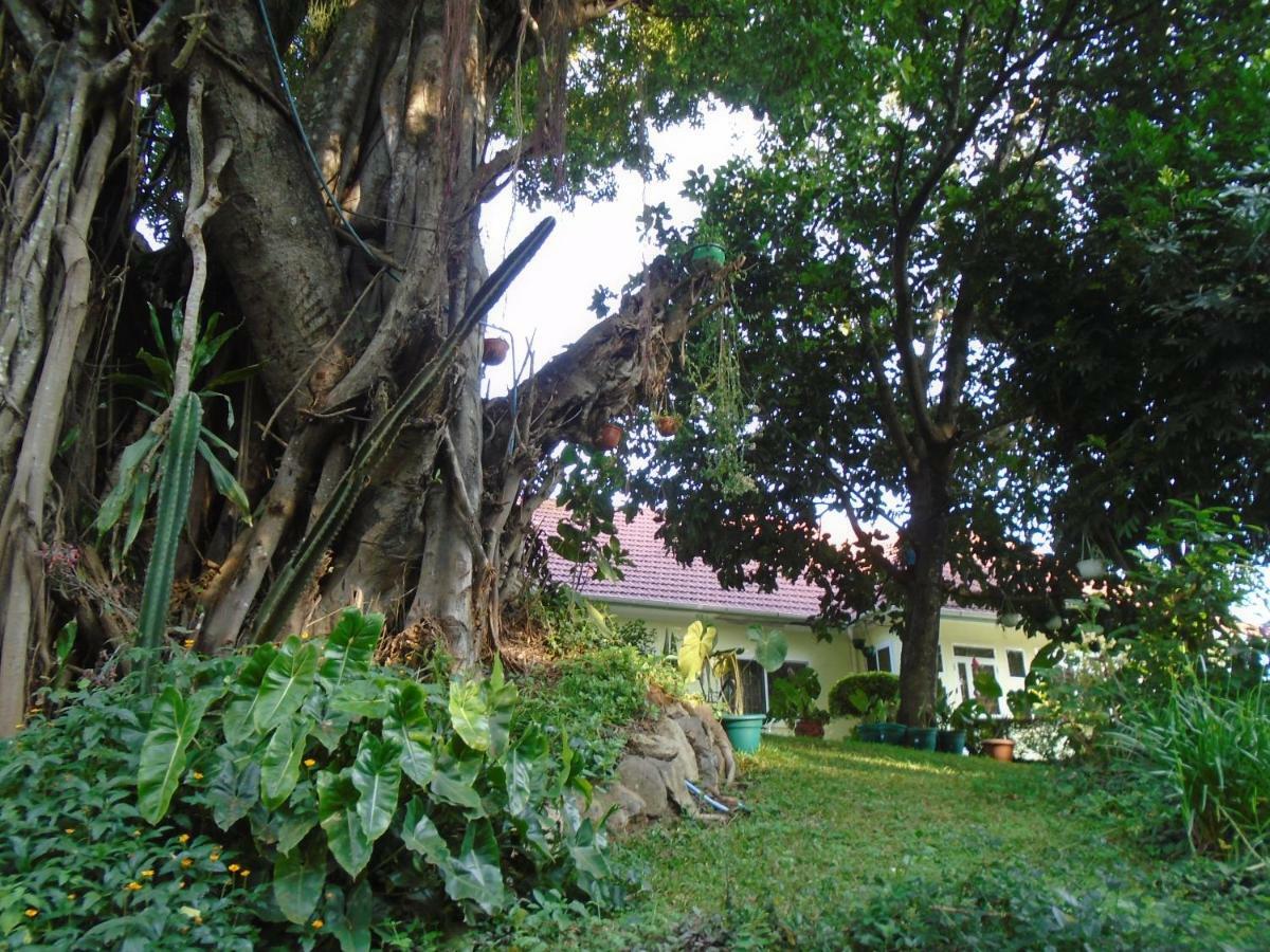 Themi Valley Eco And Cultural Tourism Homestay Arusha Eksteriør bilde